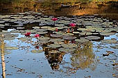 Banteay Srei temple - the moat 